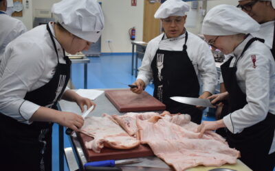 ¿Sueñas con estudiar gastronomía en Europa? Salamanca te espera con oportunidades y sabor