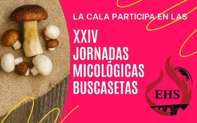 La Cala participa en las XXIV Jornadas Micológicas Buscasetas